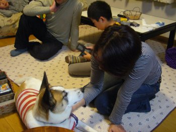 080322-3.jpg