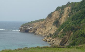 日本海の海岸線