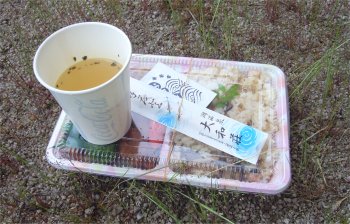 道の駅「グリーンロード大和」ASでお弁当