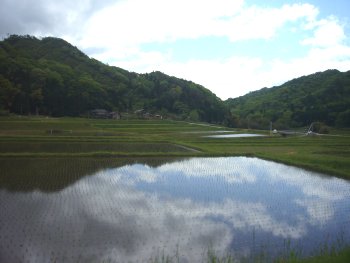 石見グランフォンド2008、のどかな田園風景