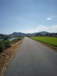 黒瀬川沿いの道