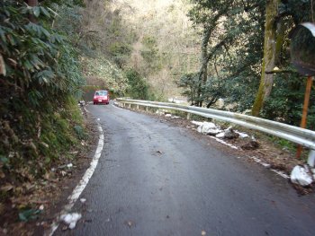 都賀西の山道