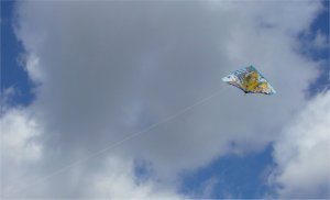 20080103-1.jpg