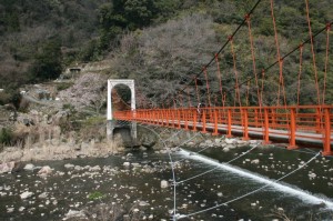 春の小滝橋*