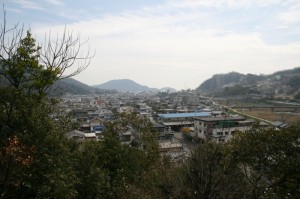 町田公園後方の丘から眺める広町中心部*