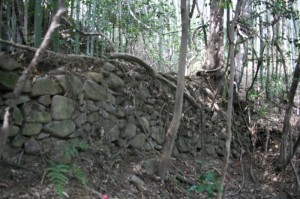 丸小山城跡の石積か*