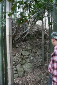 丸小山城跡の石積か*