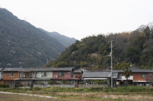 丸小山城跡(?)を眺める*