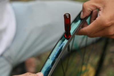 リムテープも交換 リムテープも交換