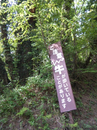 どこの世界にも、やんちゃ坊主がいるモンです どこの世界にも、やんちゃ坊主がいるモンです