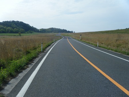 三瓶の平原にきました 三瓶の平原にきました