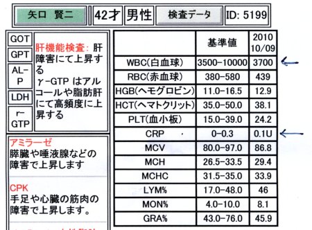 検査結果 検査結果