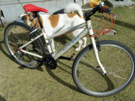 かんせ~ かんせ~
