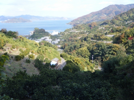 大平山からの下り 大平山からの下り