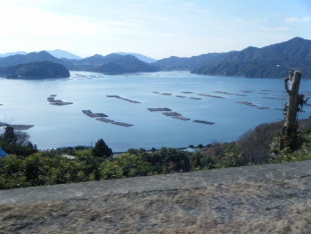 三津口湾を一望