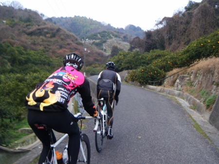 みかん山HC