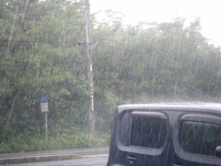 ゲリラ豪雨なぅ