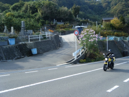 ここから山へ