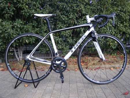 Madone 5