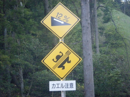 轢かれとるし…