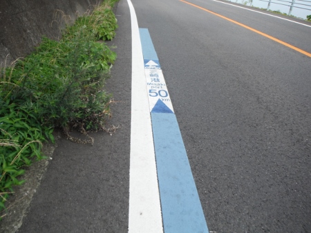 愛媛にもブルーライン