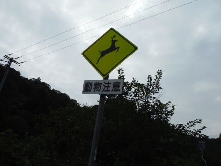 動物注意
