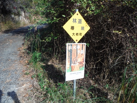 林道 椿線