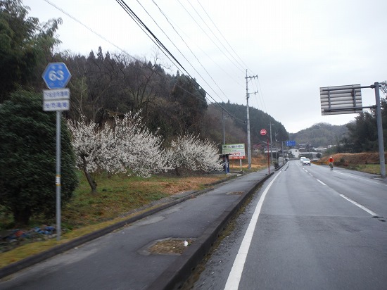 雨後の道