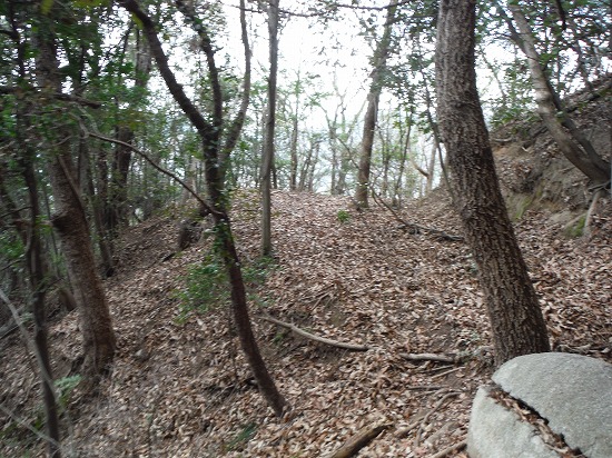 吉松山 山中