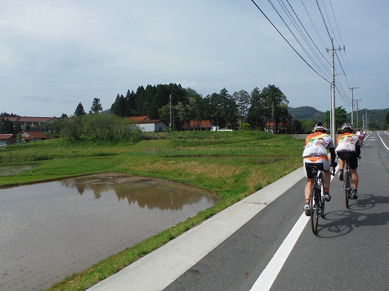 田植えシーズン