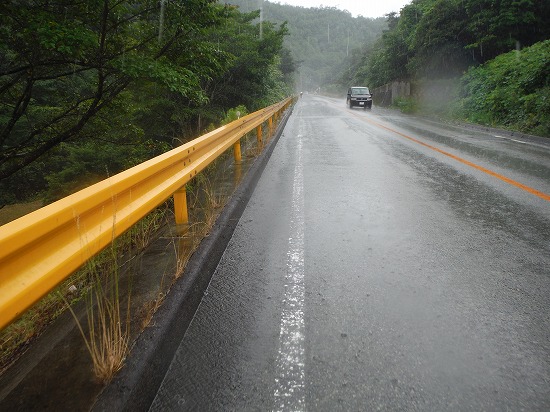 かなり激しい雨足
