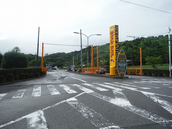 サファリ前通過
