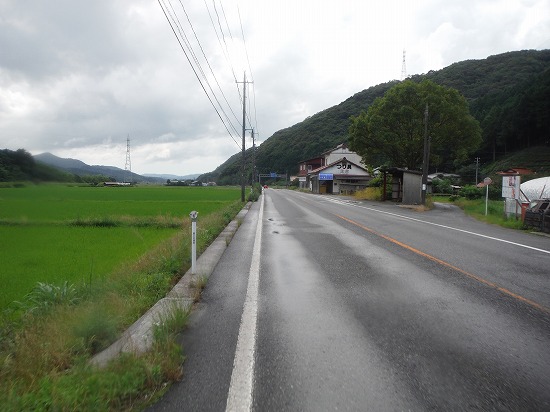 ようやく快調に