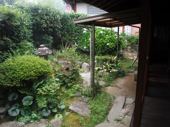 風情ある裏庭
