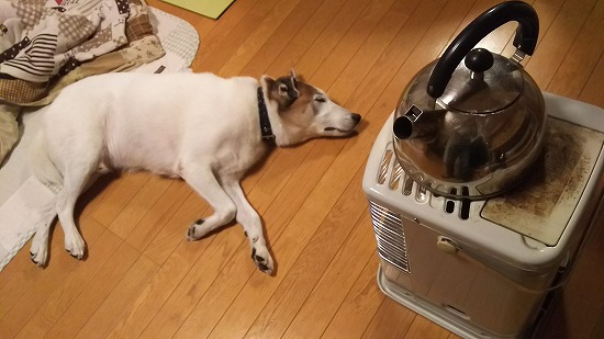 冬到来