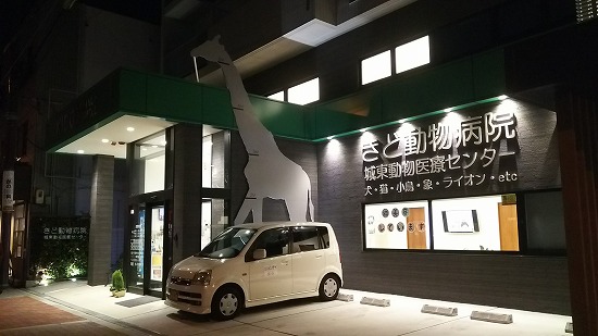 キリンが…