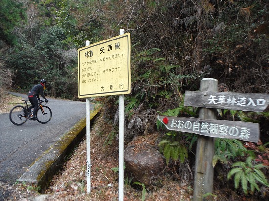 林道 矢草線