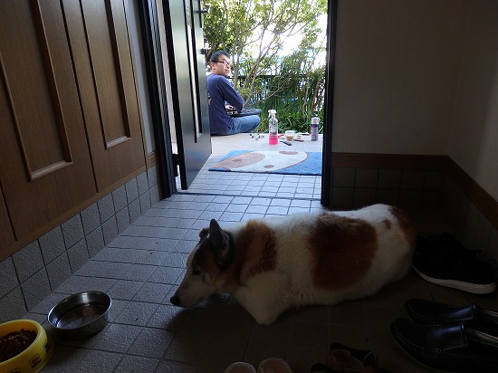監視され中