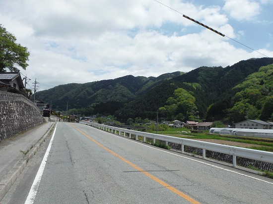 新緑の山々