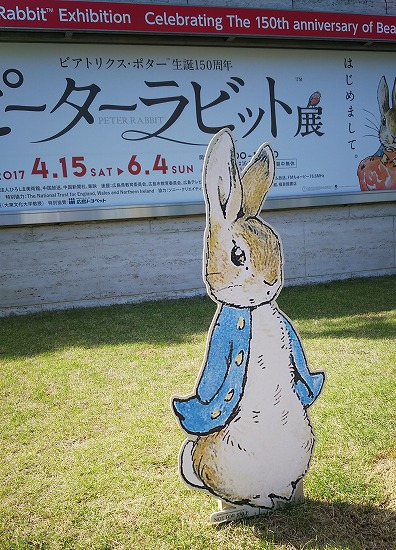 うさぎに会いに