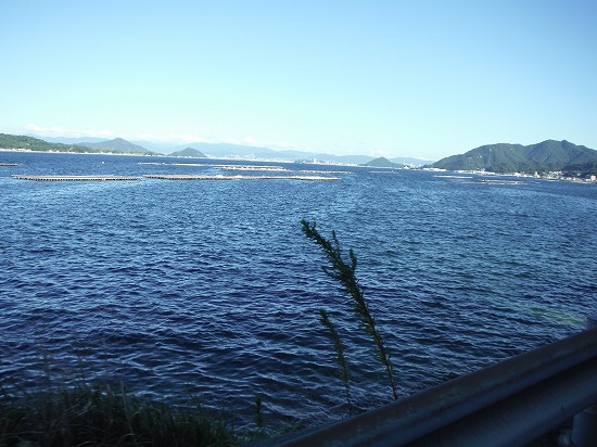 風つよい