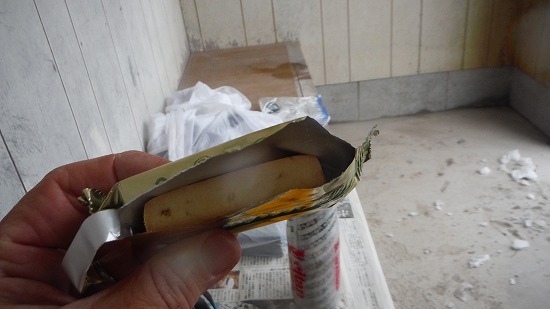 持参補給食