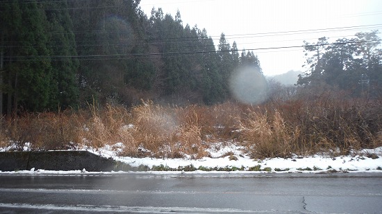 降雪