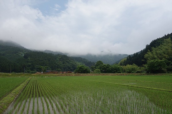 天候、何とか持ってます