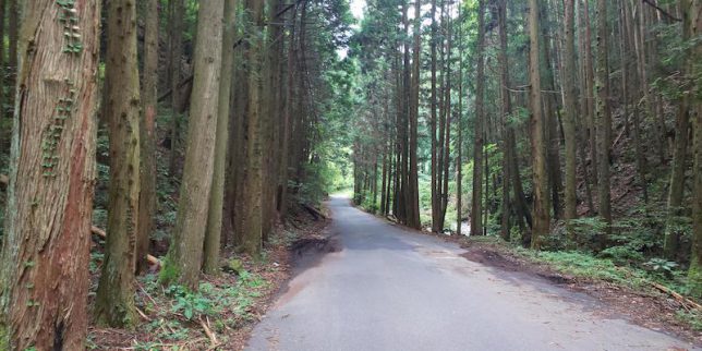 極楽寺へと