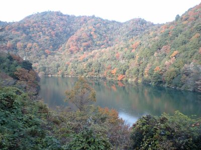 野呂川ダムの紅葉